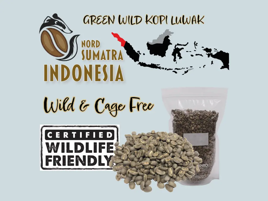 Rohkaffee "LUWAK" WILD Zertifiziert, Da'Gabo, Grade 1 TP, Nord Sumatra Indonesia, Gewaschen